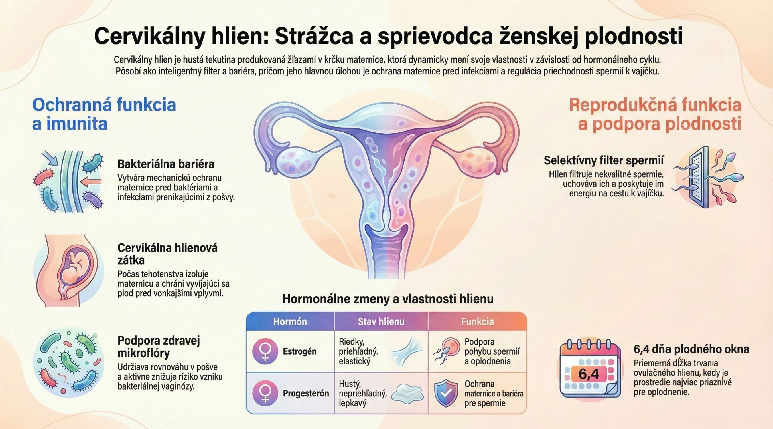 Infografika znázorňujúca cervikálny hlien a plodný hlien, ich ochrannú a reprodukčnú funkciu, hormonálne vplyvy estrogénu a progesterónu a dĺžku plodného okna